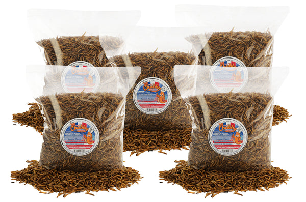 10lb French Grown Chubby Dried Mealworms (Non-GMO)