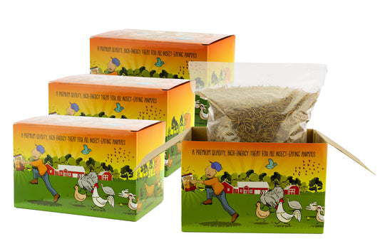 4x 3Lb (12lbs) Chubby Dried Mealworms - Coop Dreams Limited Edition Boxes