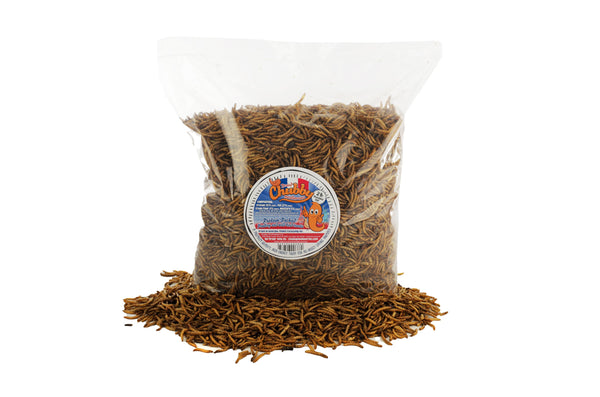 2lb French Grown Chubby Dried Mealworms (Non-GMO)