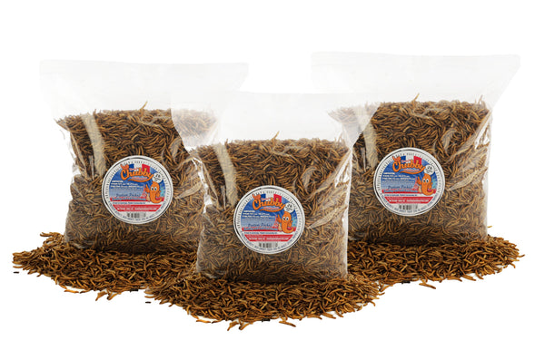 6lb French Grown Chubby Dried Mealworms (Non-GMO)