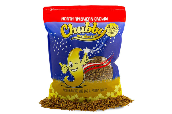 2.5 Lbs Chubby Canadian Grown Dried Mealworms (Non-GMO)