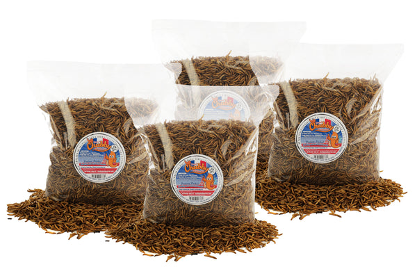 8lb French Grown Chubby Dried Mealworms (Non-GMO)