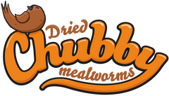 Chubby Mealworms Canada