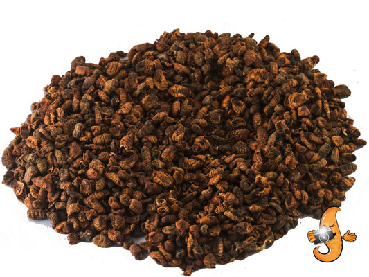 4.99kg (11lb) Chubby Dried Silkworm Pupae